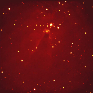 NGC2264